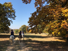 Romania-Transylvania-Gourmet Ride in Transylvania